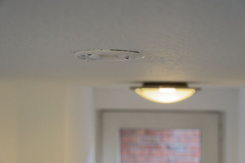 Smoke Detector Replacement detail